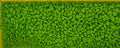 115 Lime Moss