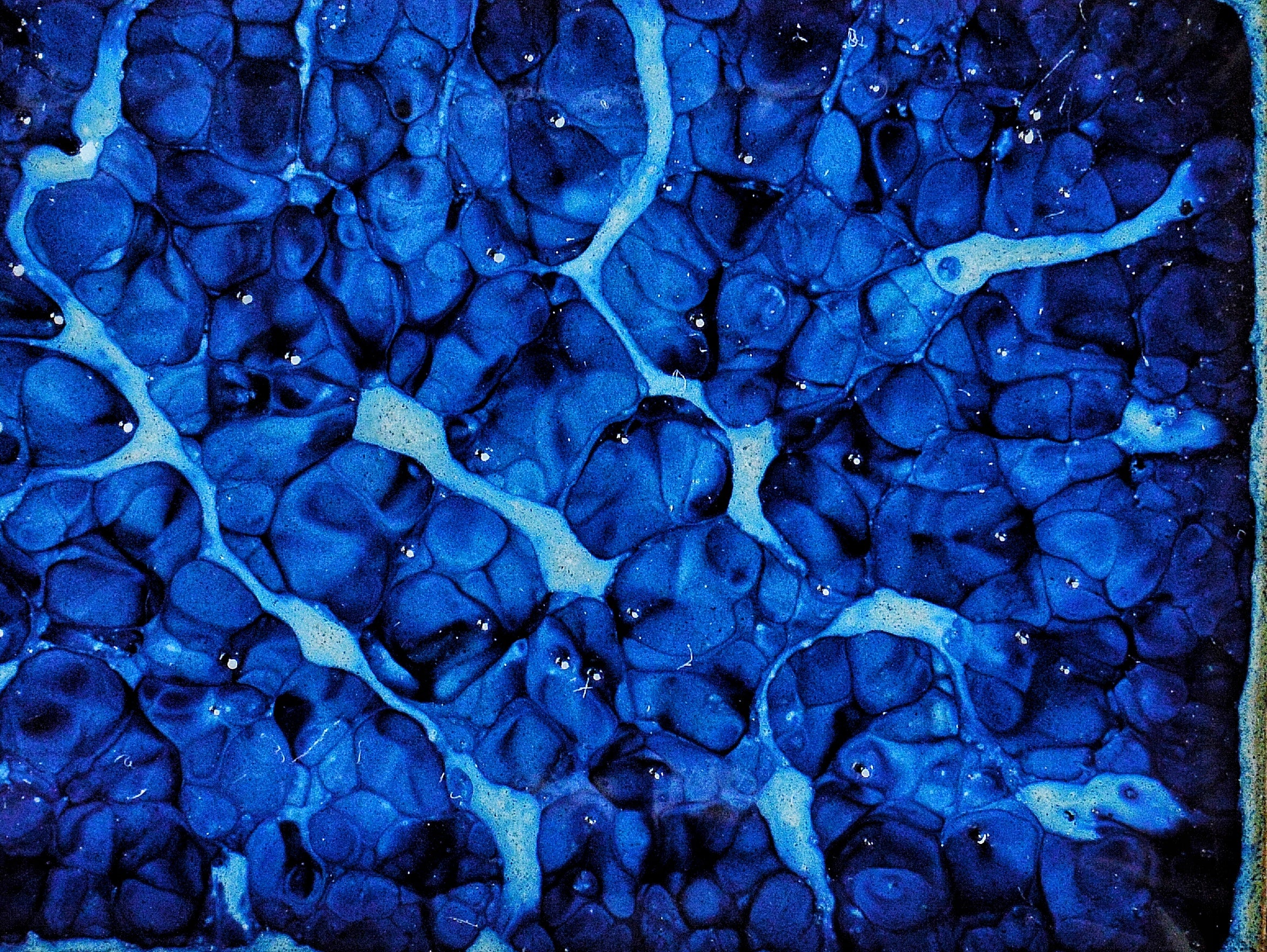 KJ-222 Azure Veins