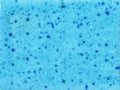 KJ-223 Lagoon Dust