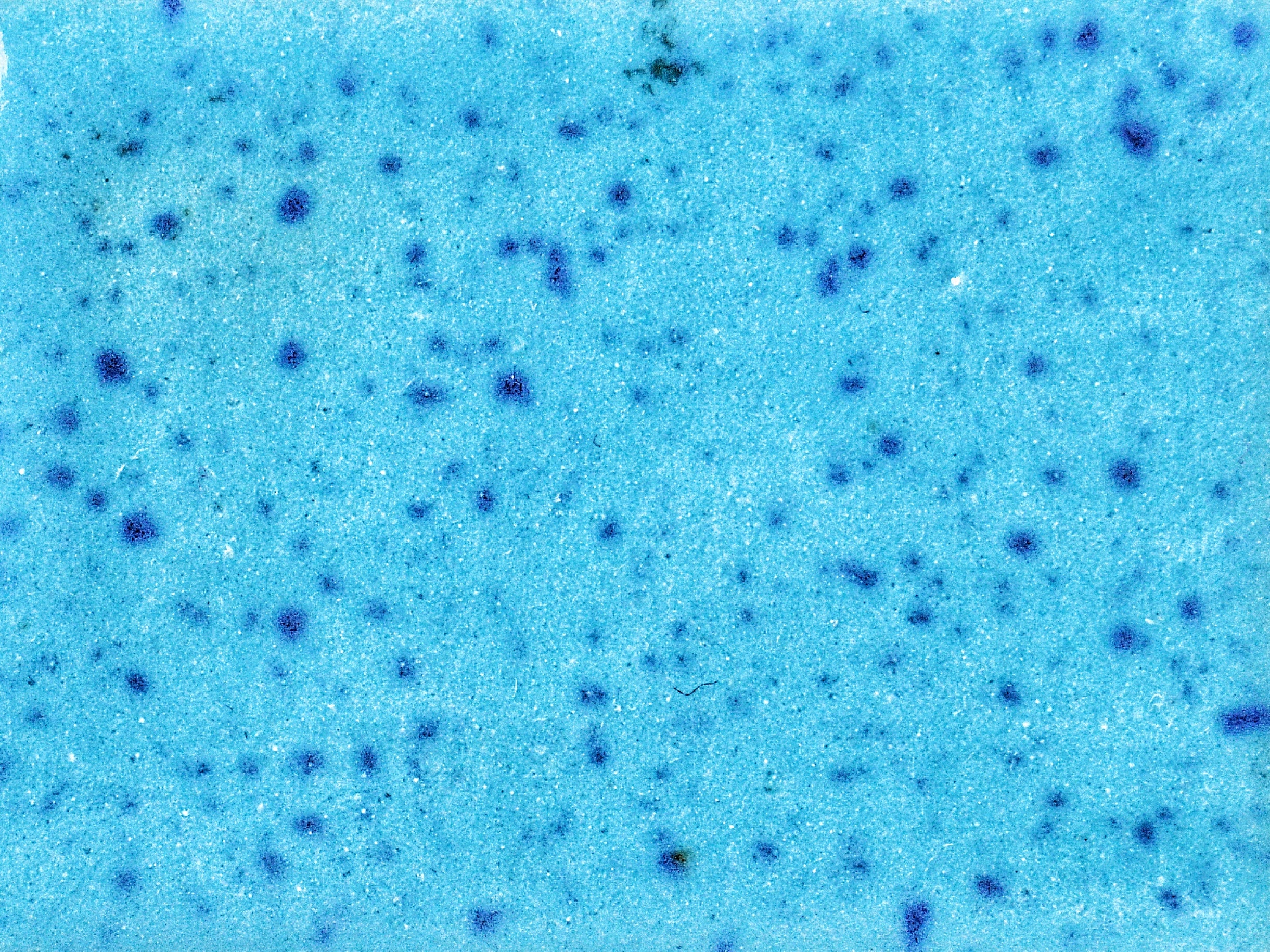 KJ-223 Lagoon Dust