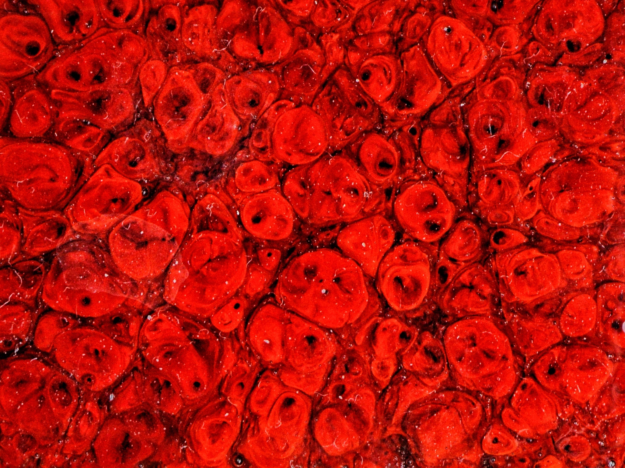 KJ-225 Poppy Field