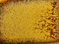 KJ-237 Royal Gold