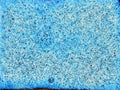 KJ-239 Aether Blue