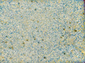 KJ-238 Pearl Dust